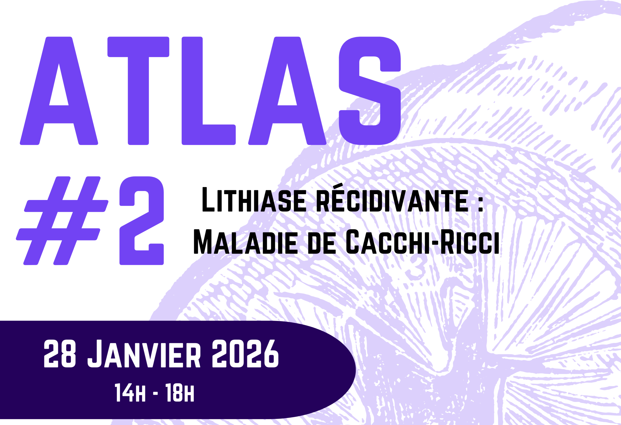 Journée professionnelle lithiase ATLAS #2